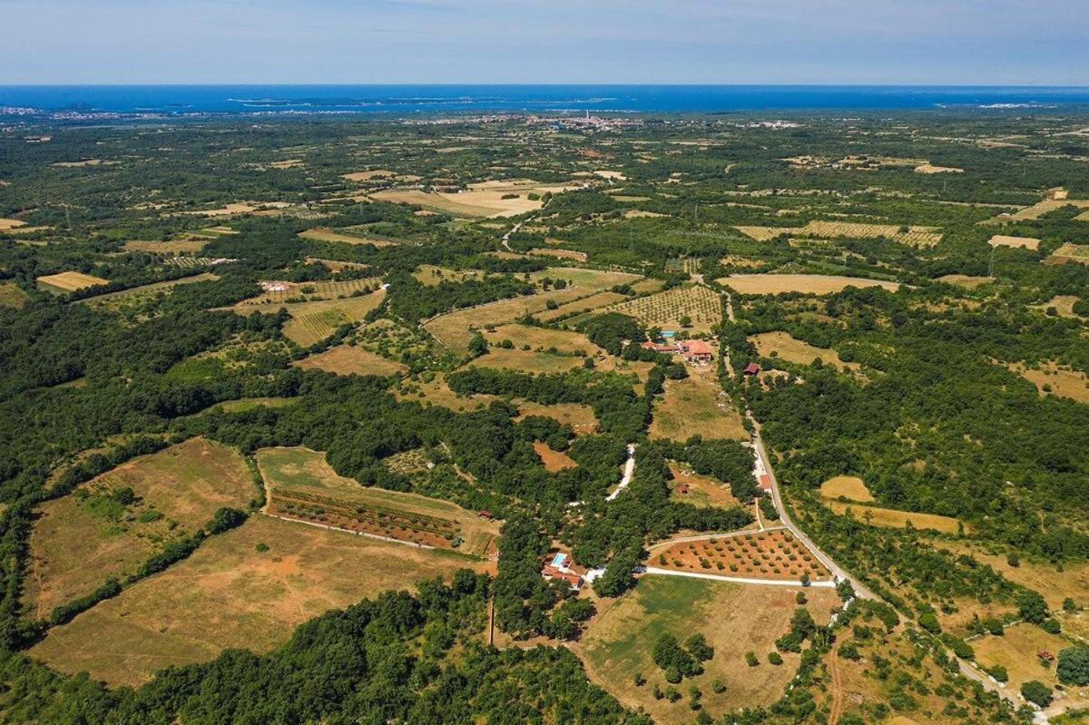 Villa Martinetinka Vodnjan Esterno foto