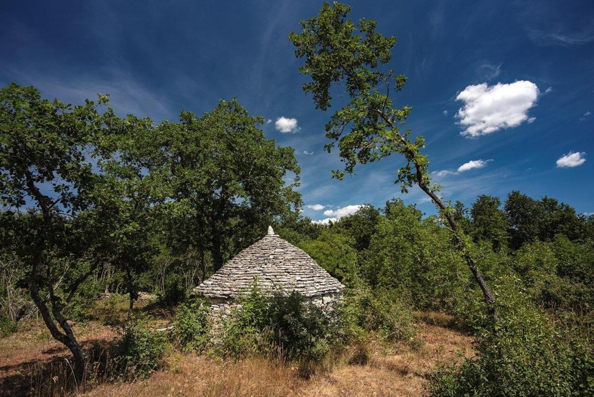 Villa Martinetinka Vodnjan Esterno foto