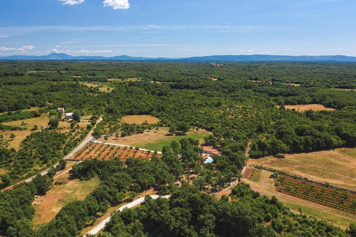 Villa Martinetinka Vodnjan Esterno foto