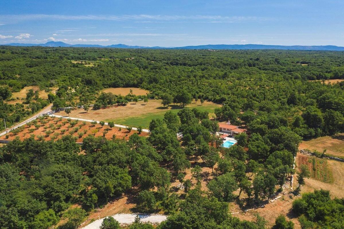 Villa Martinetinka Vodnjan Esterno foto