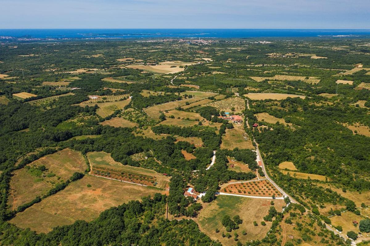 Villa Martinetinka Vodnjan Esterno foto