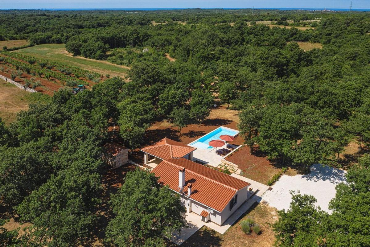 Villa Martinetinka Vodnjan Esterno foto