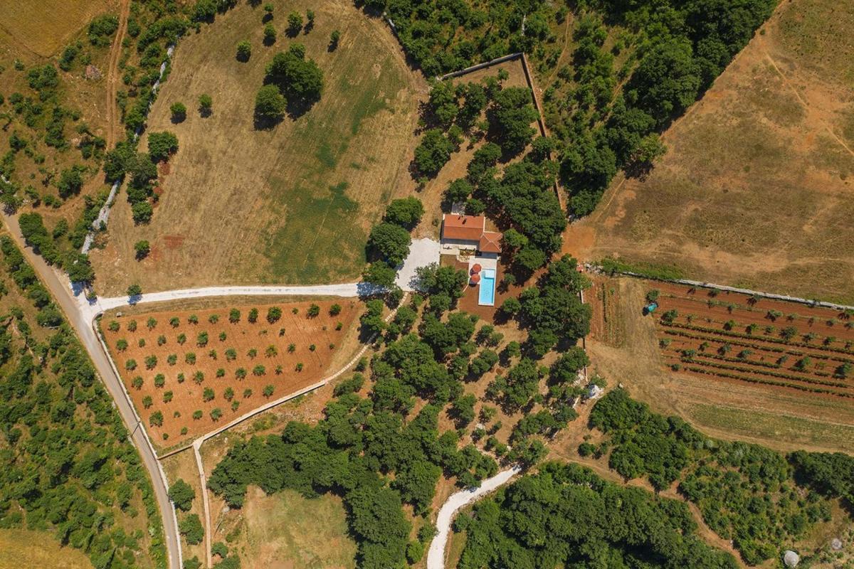 Villa Martinetinka Vodnjan Esterno foto