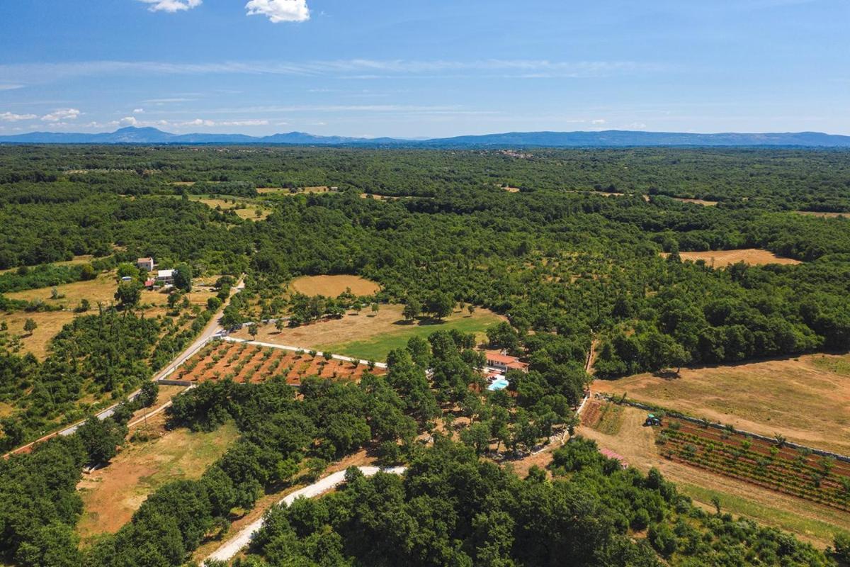 Villa Martinetinka Vodnjan Esterno foto