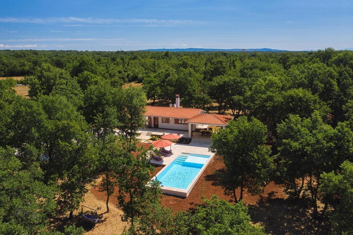Villa Martinetinka Vodnjan Esterno foto