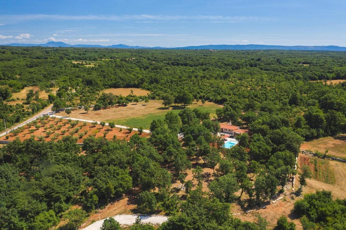 Villa Martinetinka Vodnjan Esterno foto